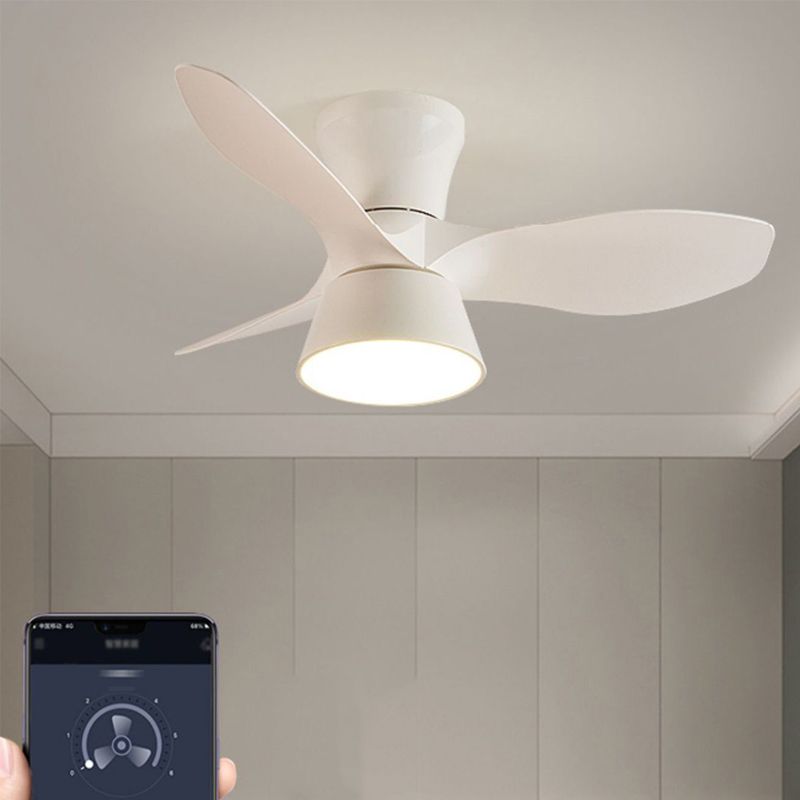 Walters Ceiling Fan with Light, 3 Colour, L 80CM