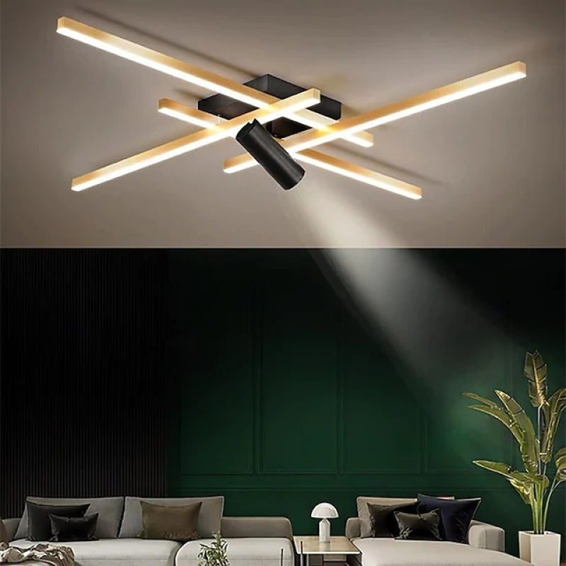 Metal Geometrically shaped dimmable LED ceiling lamp with spot light Ceiling lamp