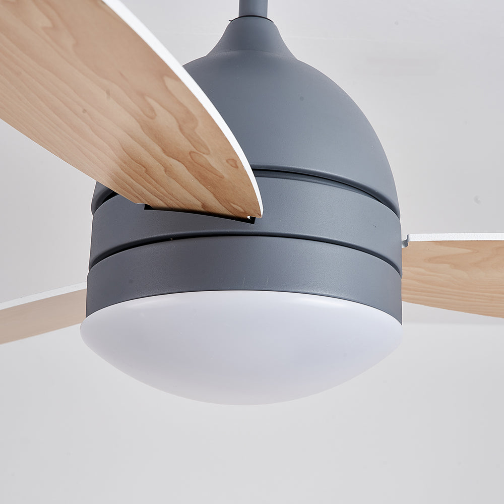 Haydn Modern Basic Ceiling Fan with Light, 3 Colour, DIA 105CM 