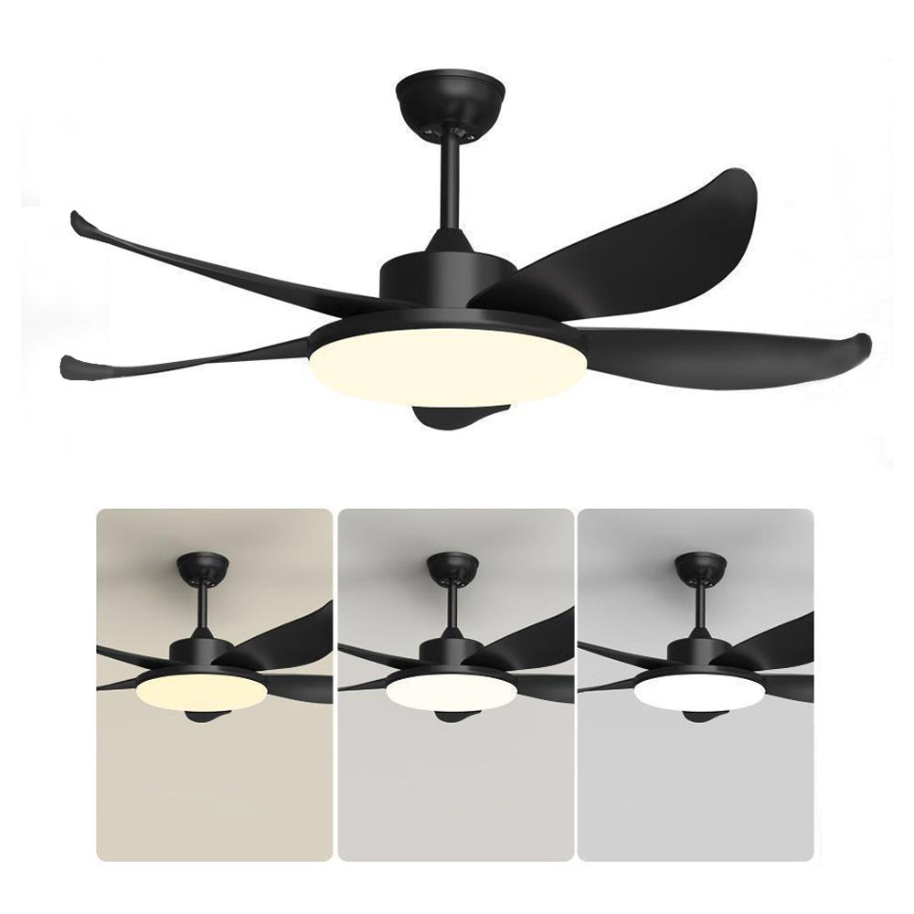 Haydn 5-Blade Basic Ceiling Fan Thin Light, 2 Colour, Metal & ABS, DIA132CM