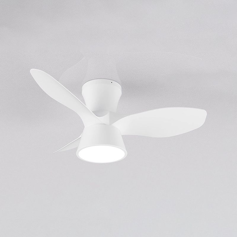 Walters Ceiling Fan with Light, 3 Colour, L 80CM