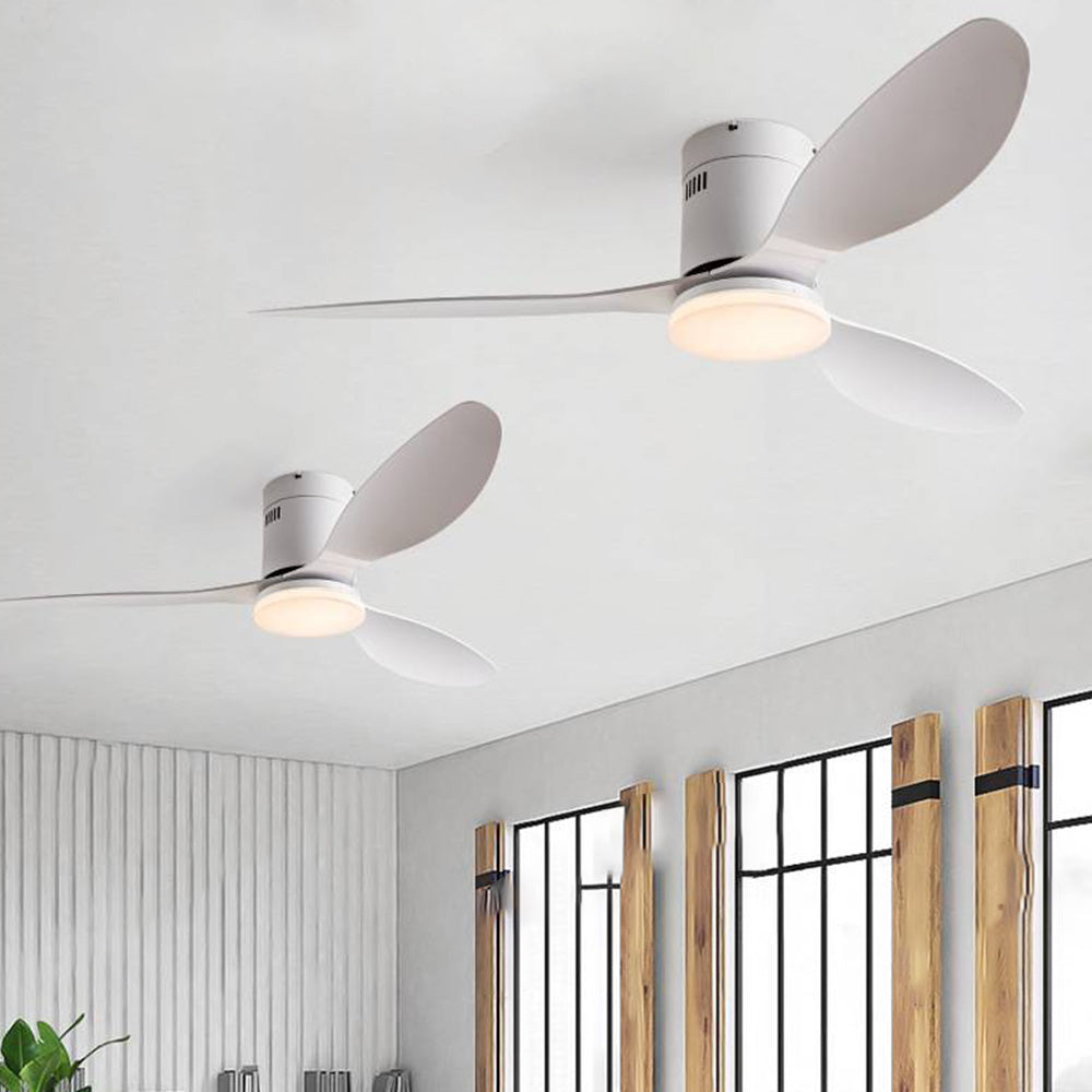 Walters 3-Blade White ceiling fan with light, 2 Colors 