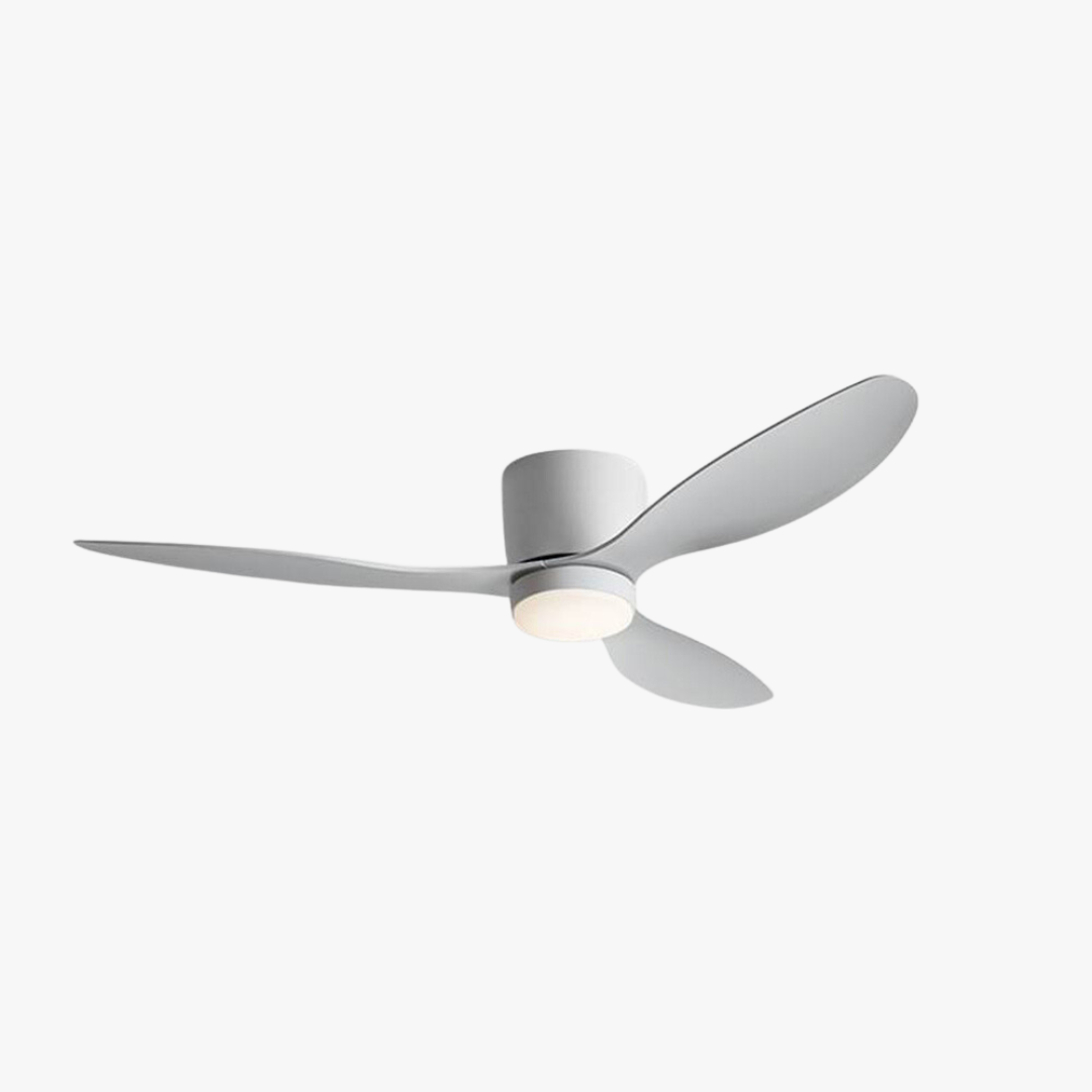 Walters 3-Blade Ceiling Fan with bright living room, 2 Colours 
