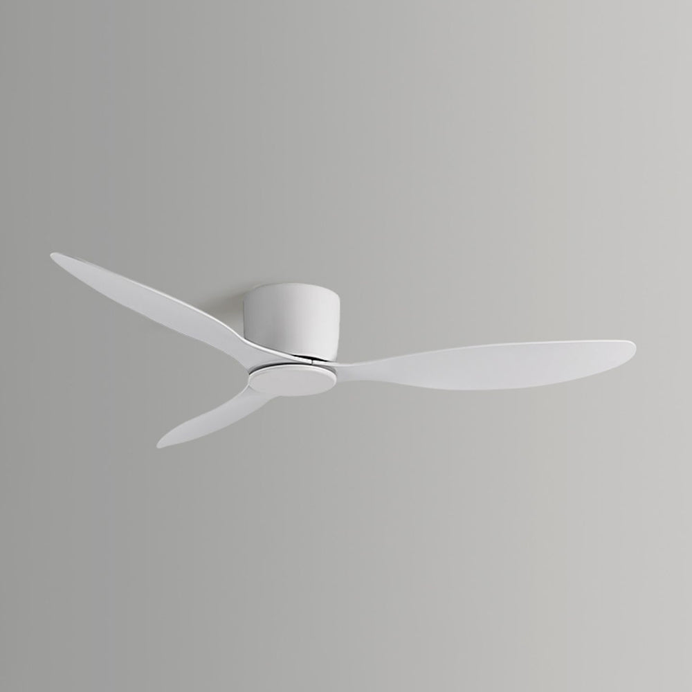 Walters 3-Blade Ceiling Fan, 2 Colour, Metal &amp; ABS, DIA130CM 